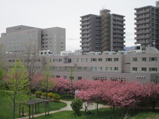 ふれあいの森市立病院前