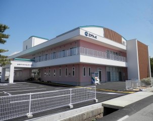 千歳緑