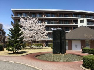 メゾンドゆい