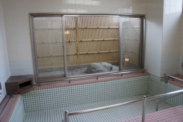 桜の里津島
