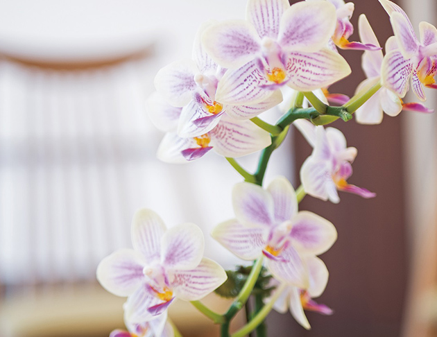 リアンレーヴみずほ台