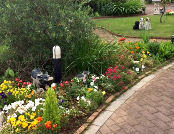 ライフコミューン南与野