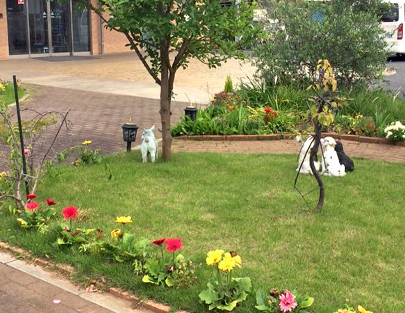 ライフコミューン南与野