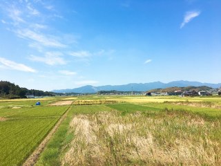 サービス付き高齢者向け住宅まめ蔵