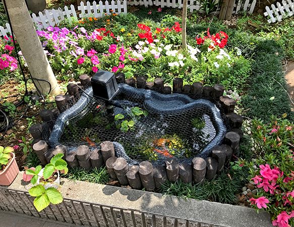 ライフコミューン上板橋