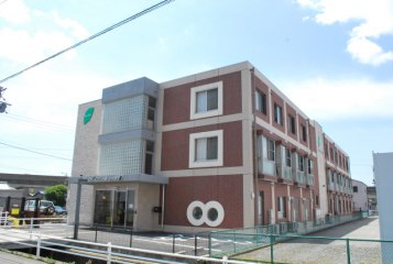ゴールドエイジオリーブ