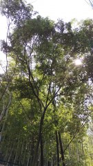 ユアサイド京都山科