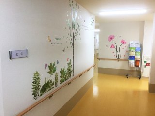 パスエル平野