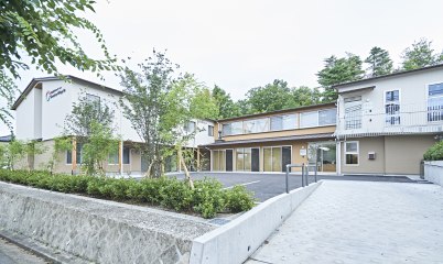 やわみどり