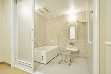 やわみどり