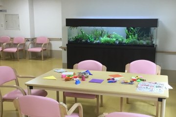 セレーナ東大阪