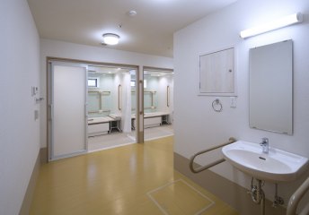 みかん