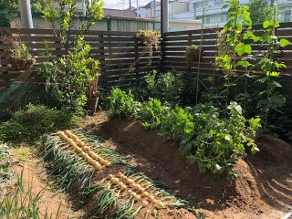 ガーデンパーク・じゃすみん