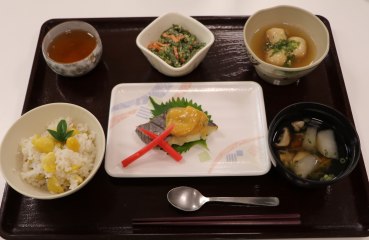 住宅型有料老人ホーム弥生桜壱番館