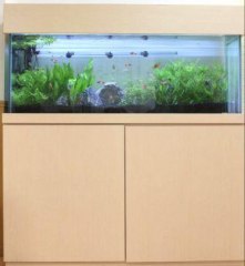 かがやき東大阪