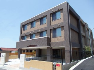 オリーブ柏原