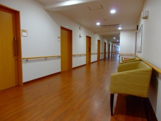 オリーブ柏原