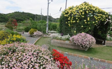 レジデンスケアララさくら