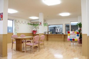 新緑平野