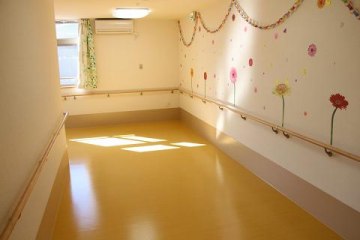 新緑平野
