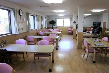 ひまわり