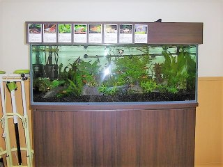 シニアライフ門真