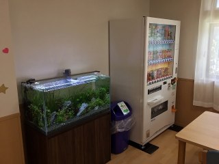 セレーナ伊丹稲野