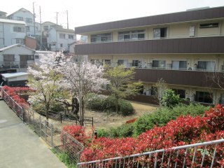 ルミエールまるやま