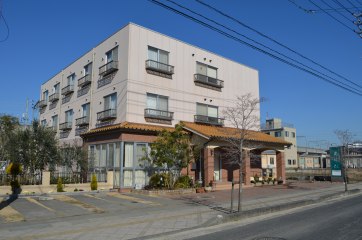 サルピスあけび