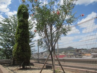 サービスハウス春日