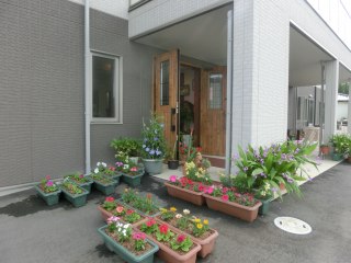 ドリームライフアポロプラス