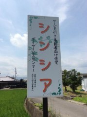 サービス付き高齢者向け住宅シンシア