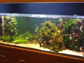 ほっとライフ今宿