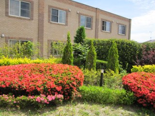 パールヴィラ太宰府