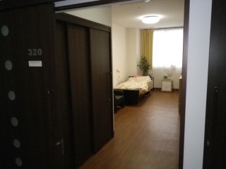 スマイル板付