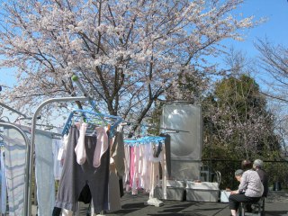 七ヶ浜海の宮有料老人ホーム