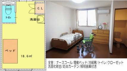 ルックスエトグラチア