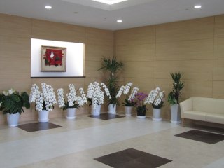 サービス付き高齢者向け住宅マザリーホーム光風台