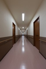 より愛きりしま