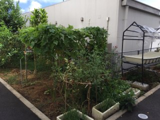 サービス付き高齢者住宅いきがいのまち美里