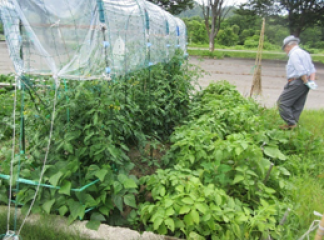 サービス付き高齢者向け住宅この花